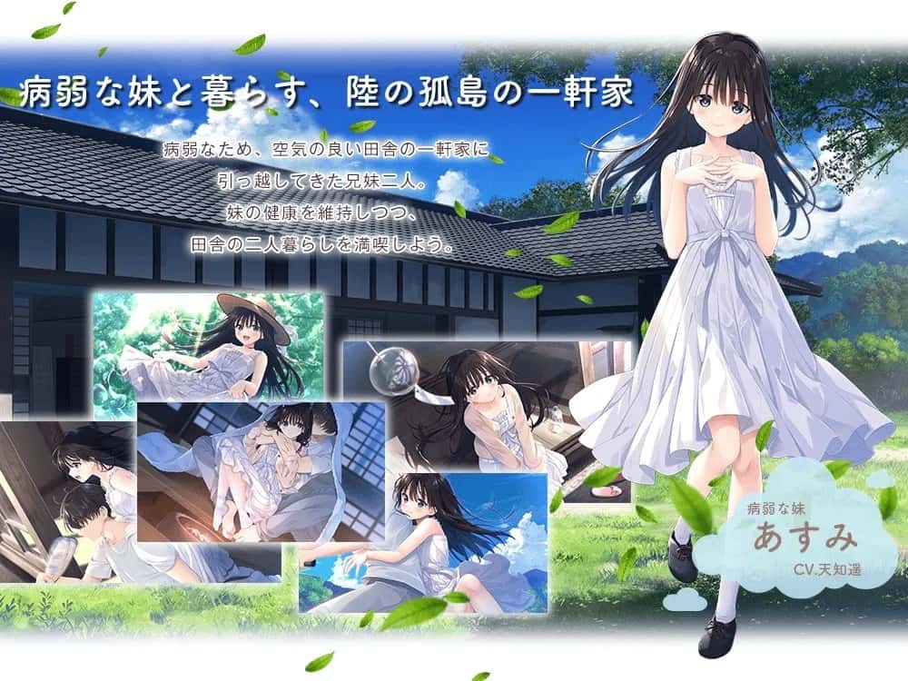 痴情哥哥与病弱妹妹的乡间生活 含新DLC1+2+3+4+5插画