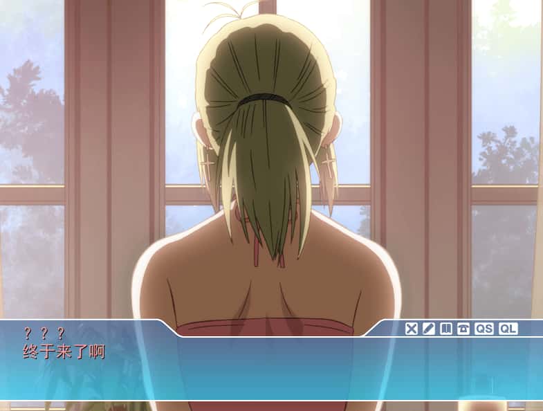 PC/ADV SISTERS：夏日最后一天～Ultra Edition 6.6G背景